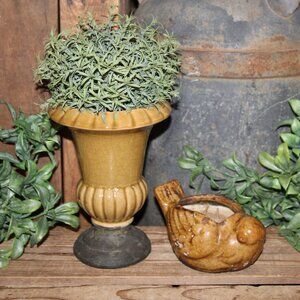 NEW French Country Topiary Urn Arrangement and Espresso Soy Bird Candle